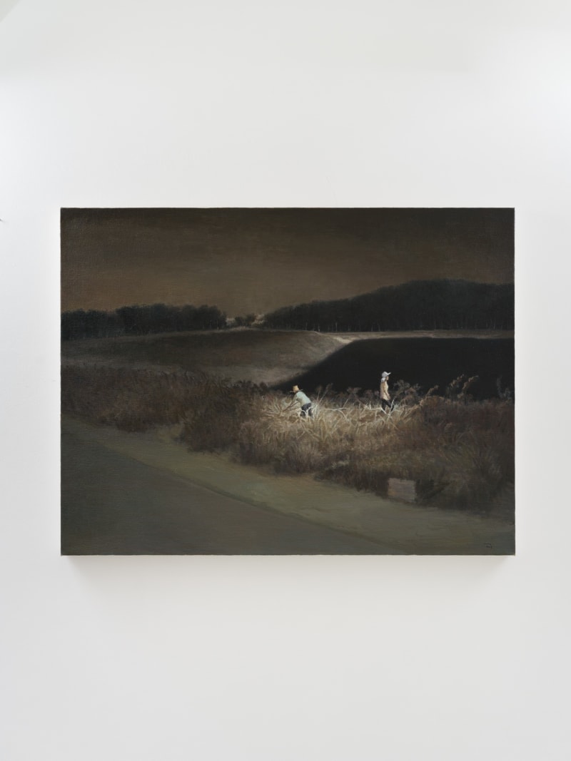 Wu Sibo The Mine Lake Park Under Construction, 2019