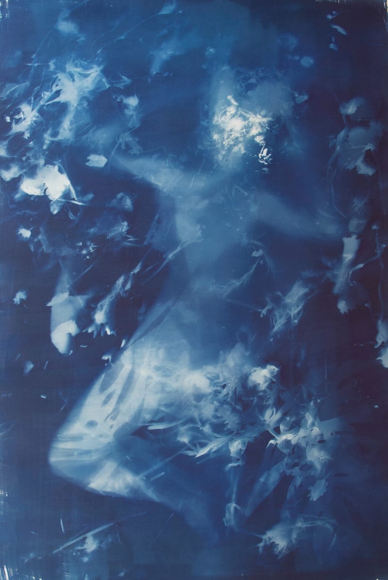 Janelle Lynch Metamorphosis VII, 2023