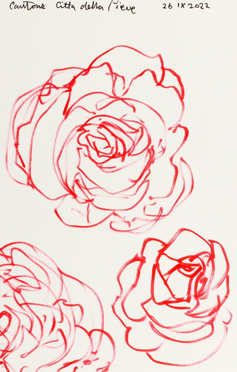 Victoria Cantons Untitled (26 ix 2022) , 2022