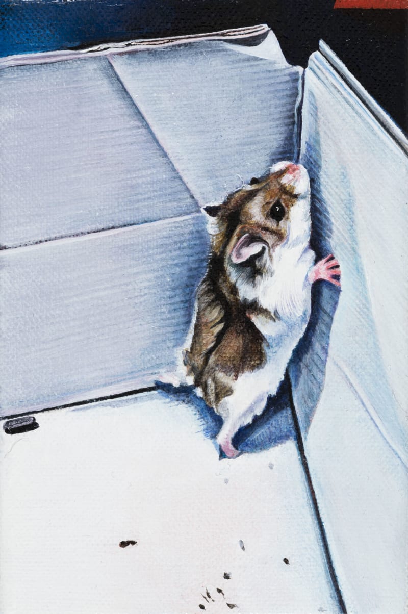 Ishbel Myerscough Pip, Bella's hamster, 2019