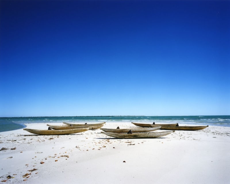 Scarlett Hooft Graafland Fish, 2012
