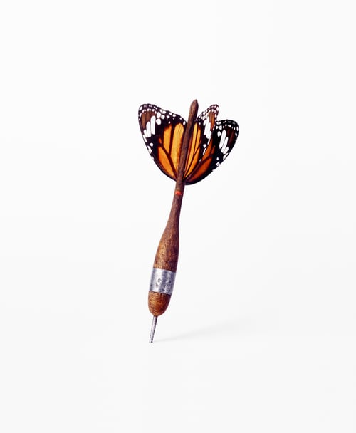 Nancy Fouts Butterfly Dart, 2010
