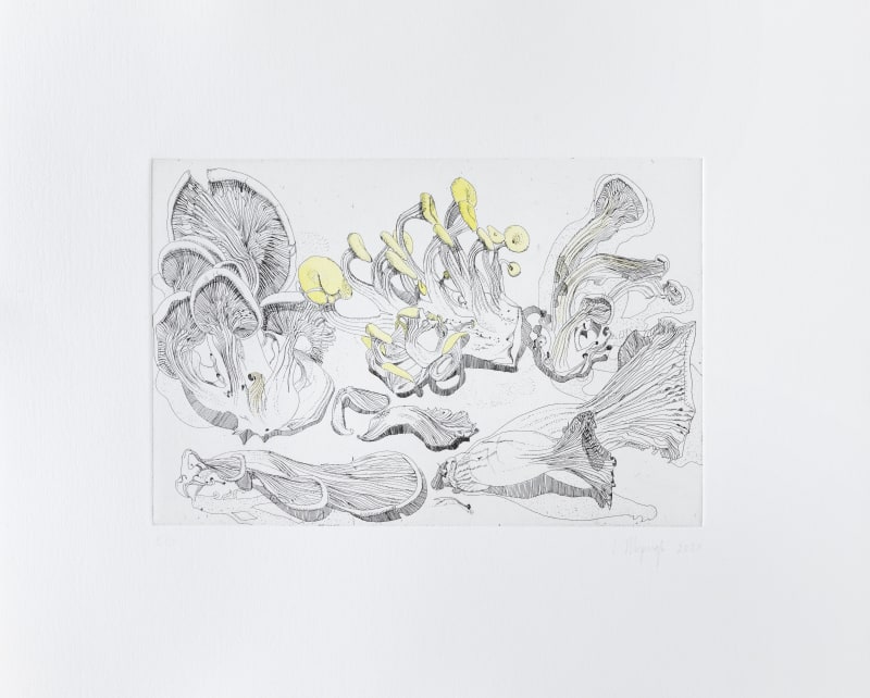 Ishbel Myerscough Untitled, 2020