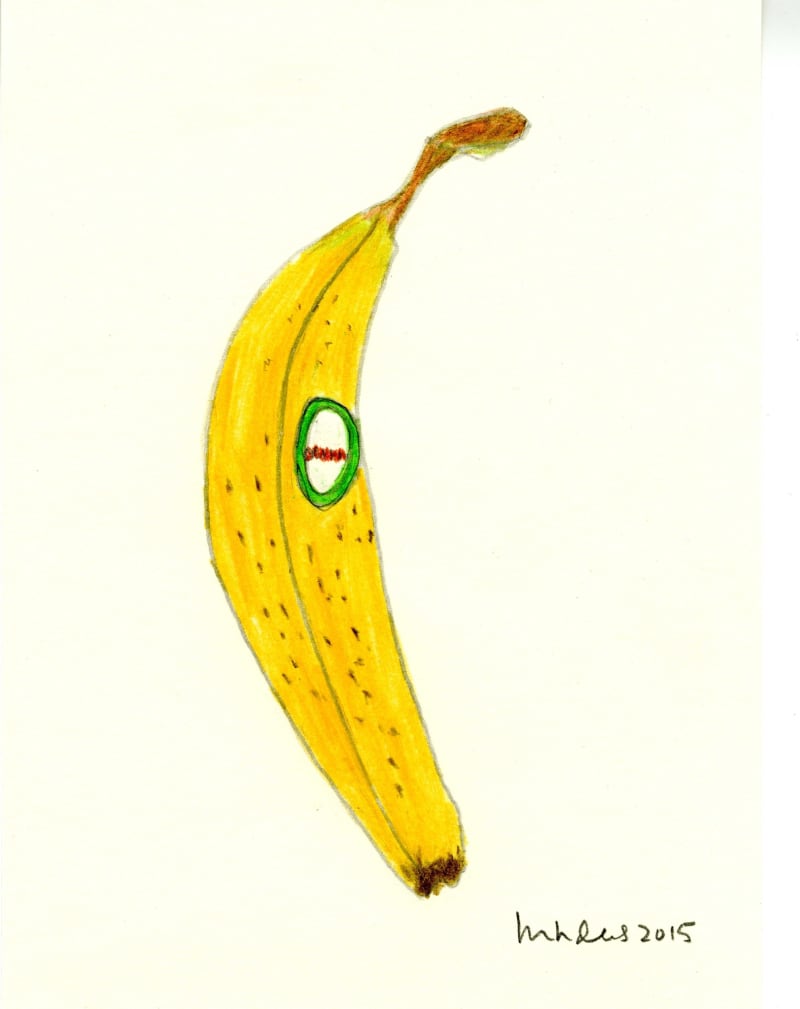 Elizabeth Enders Banana/Organic, 2015