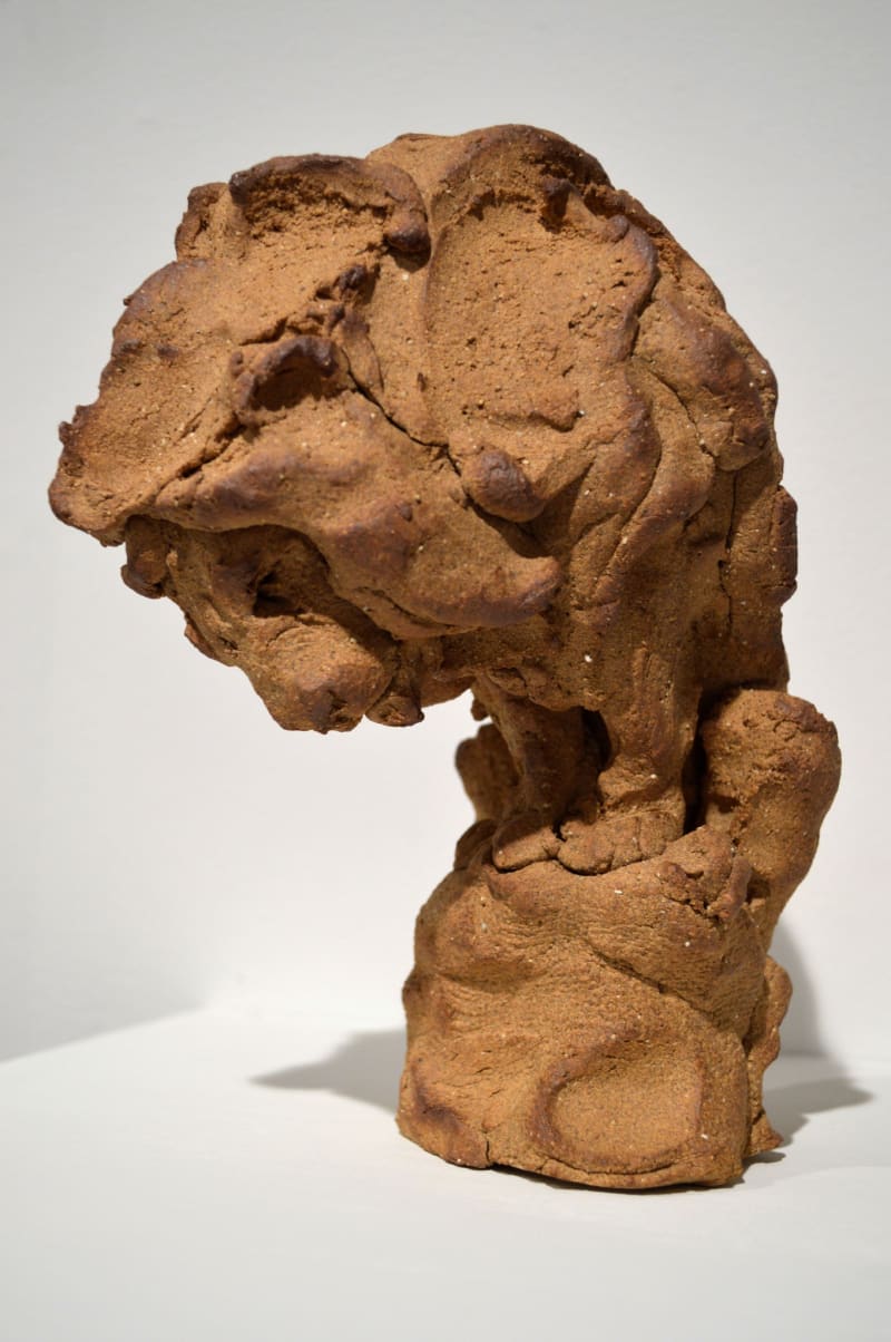 Stephanie Quayle Lion Study, 2014