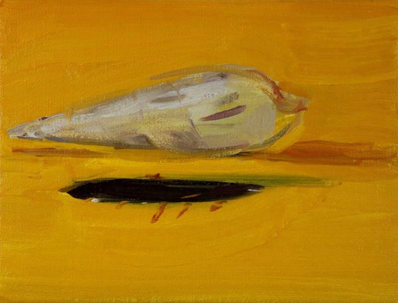 Laura Smith Shell with Feather, 2015