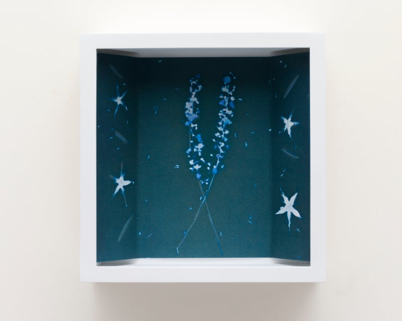 Janelle Lynch Fireworks, 2022