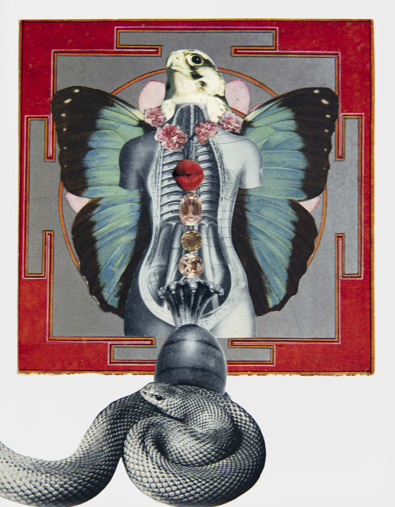 Penny Slinger The Big Reveal, 2020