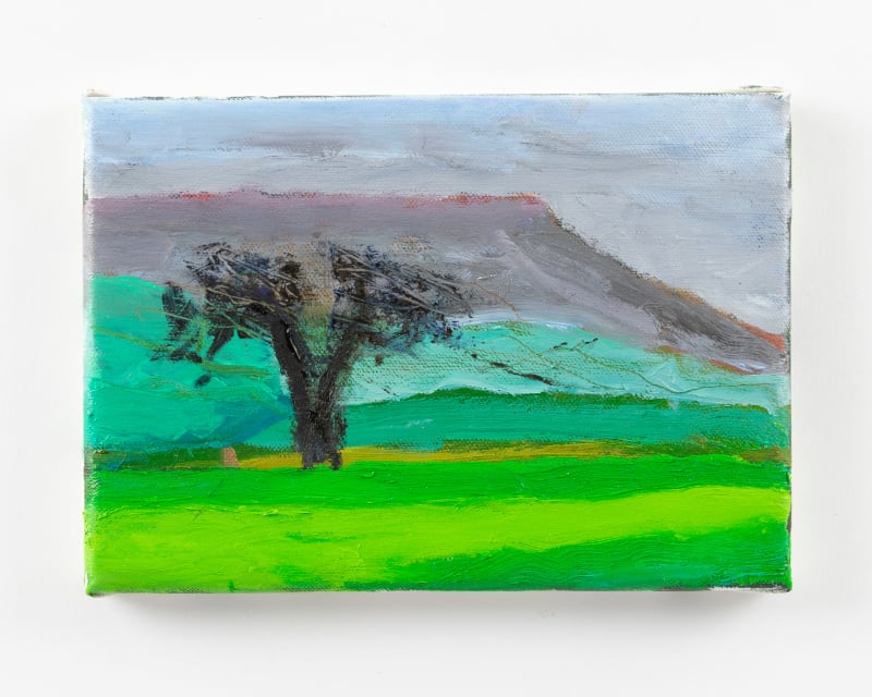 Lucy Jones A Tree and The Clee, 2024