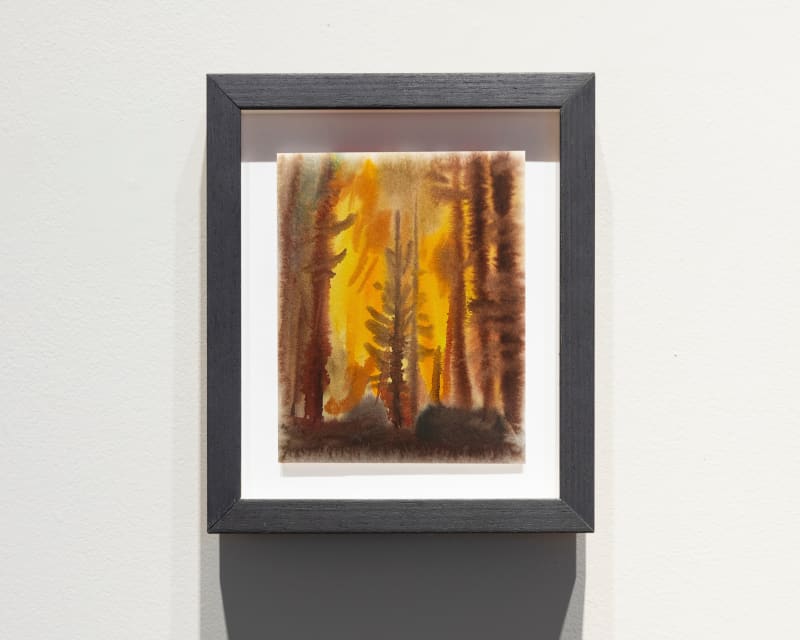 Luke Silva Forest Fire, 2024