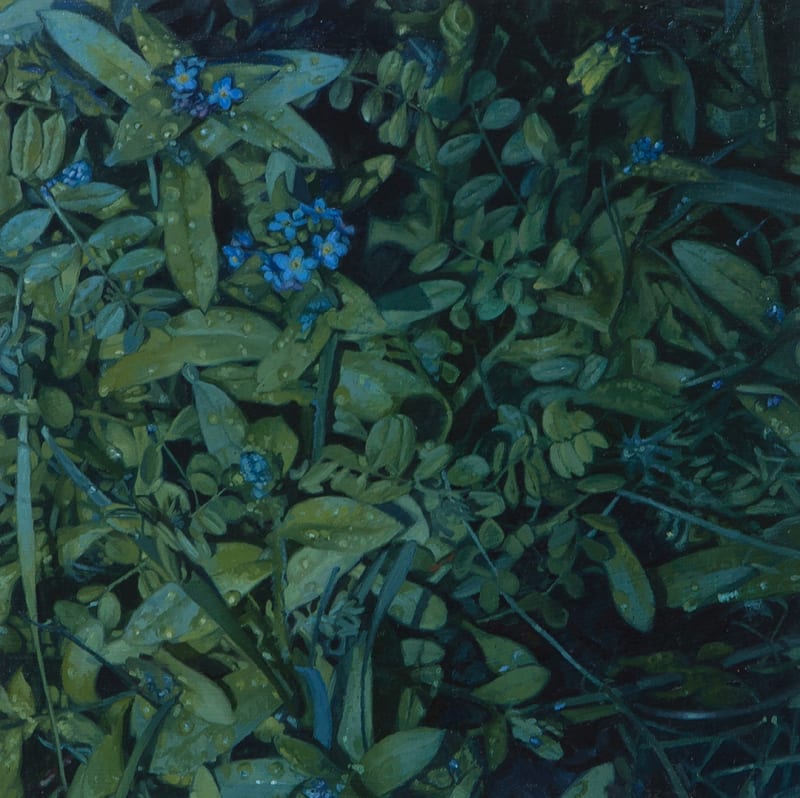 Aleah Chapin Myosotis, 2017