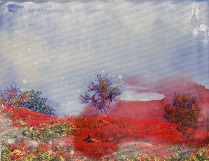 Lucie Winterson Spectrum VI, 2012