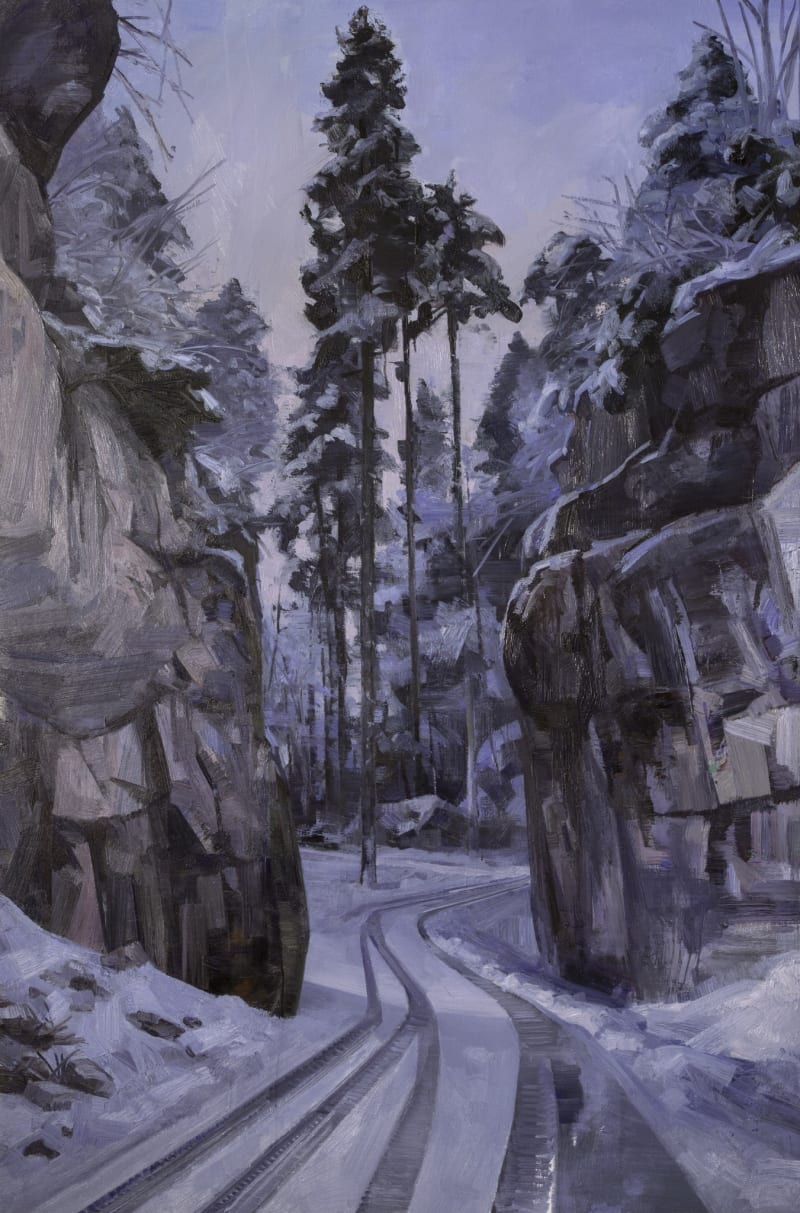 Tai Shan Schierenberg Quarry Road Winter - Black Forest, 2016