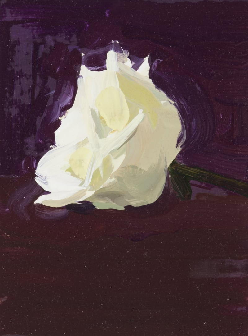 Laura Smith Rose III, 2014