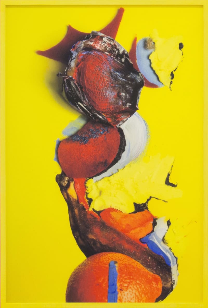Lorenzo Vitturi, Untitled (Yellow Banana and Red Sponge), 2013 -2015