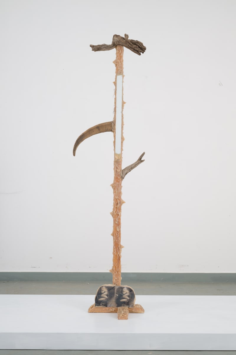 Art Basel 1970-2020 50周年記念書籍 <新品・未開封> Georg Baselitz (Art Edition with unique cover