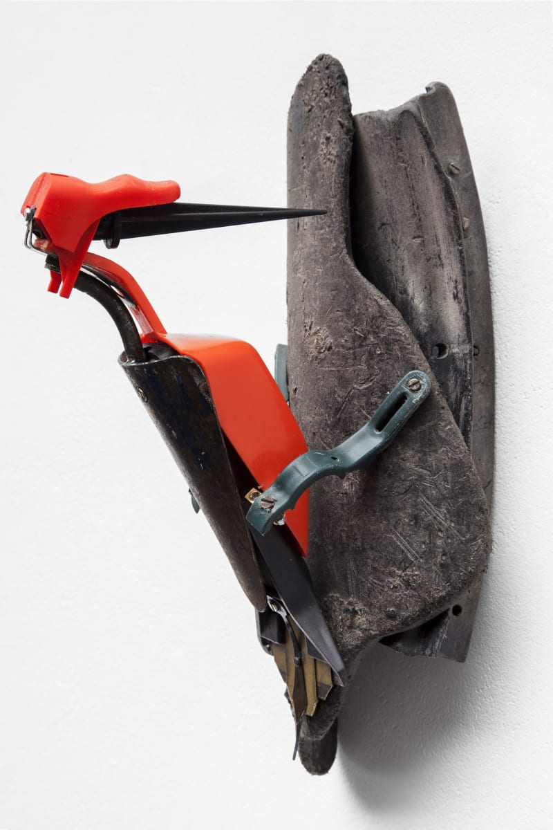 Emily Mayer Picus plasticus, 2016