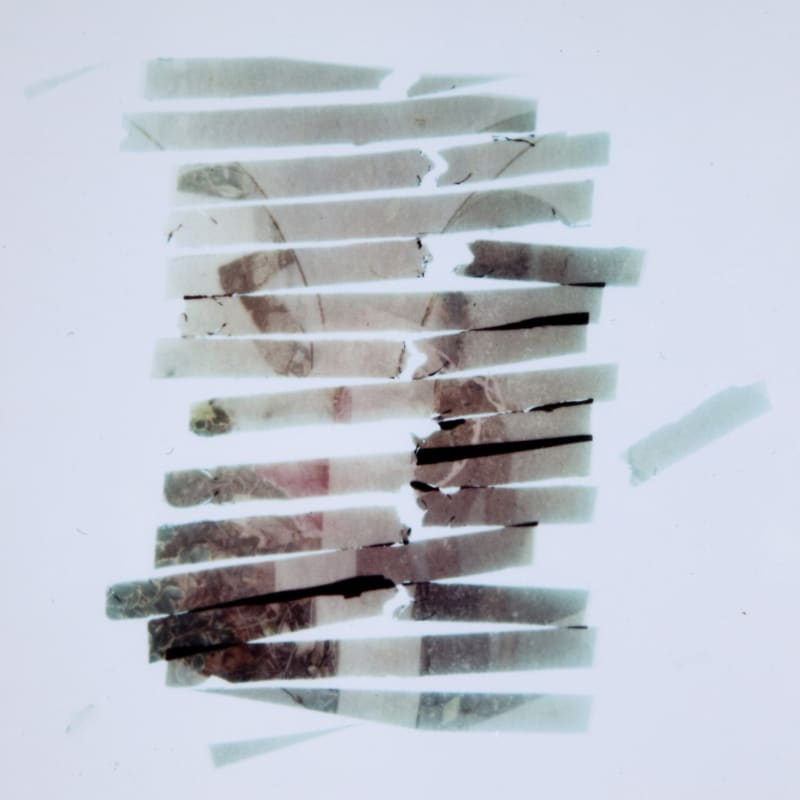 Laura Hynd To Guess A Hazard, 2015