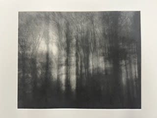 Nadav Kander Treow VII (Trust and Promise), Oxfordshire, England, 2024