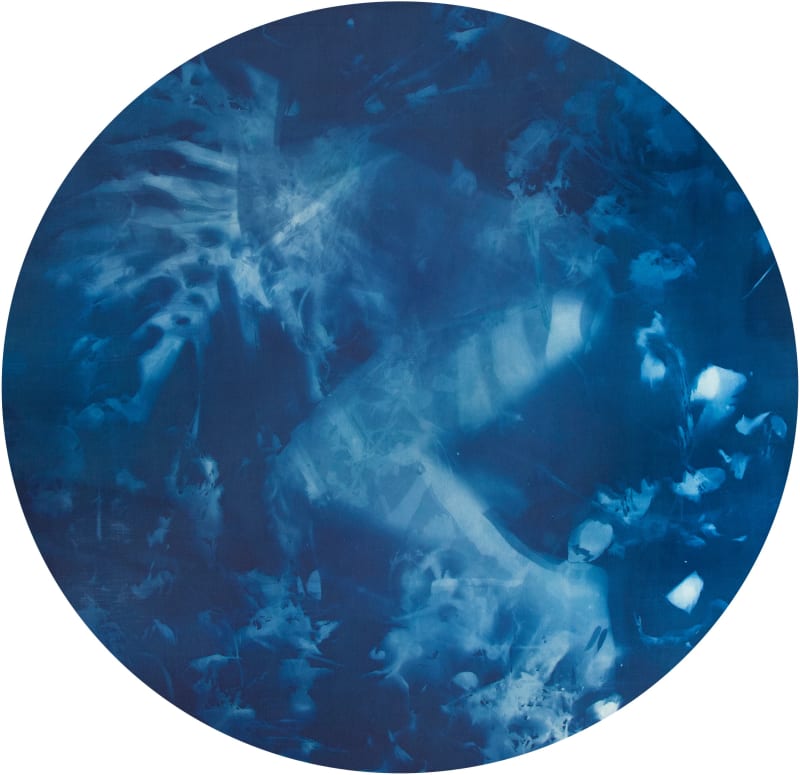 Janelle Lynch Metamorphosis X, 2023