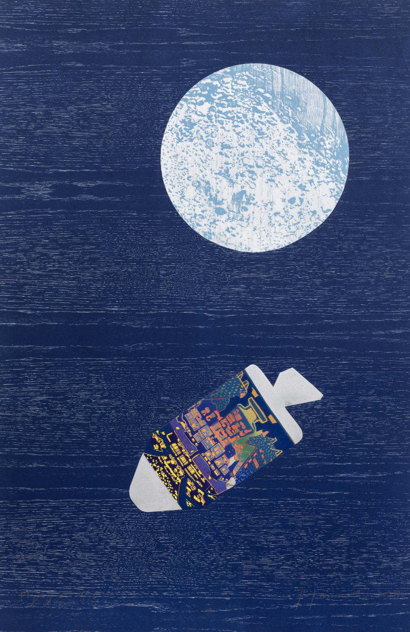 Tom Hammick Fly By, 2017
