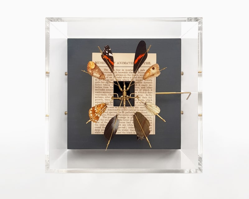 Jane Edden Animated Nature - Brilliant, 2021