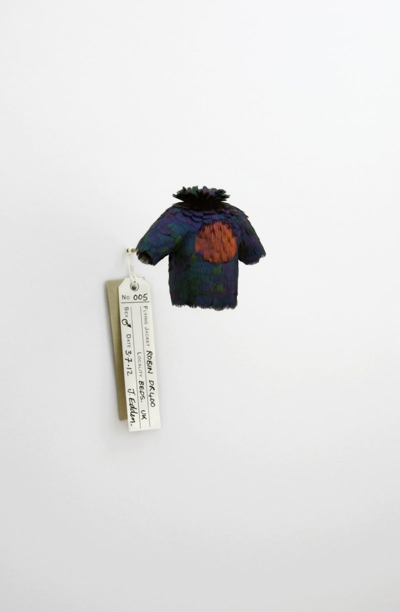 Jane Edden 05 Robin DR400, 2012