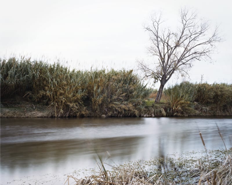 Janelle Lynch The Llobregat 3, 2008