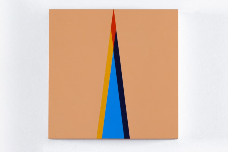 Carol Robertson Flame, 2020