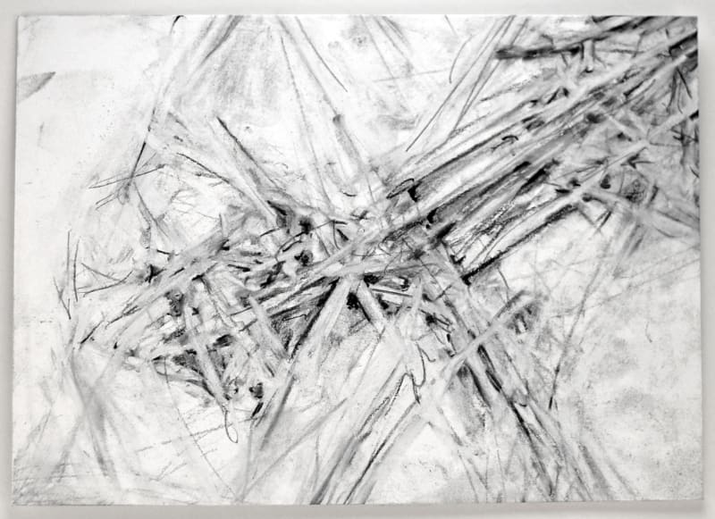 Tara Geer From the spider airport, 2015