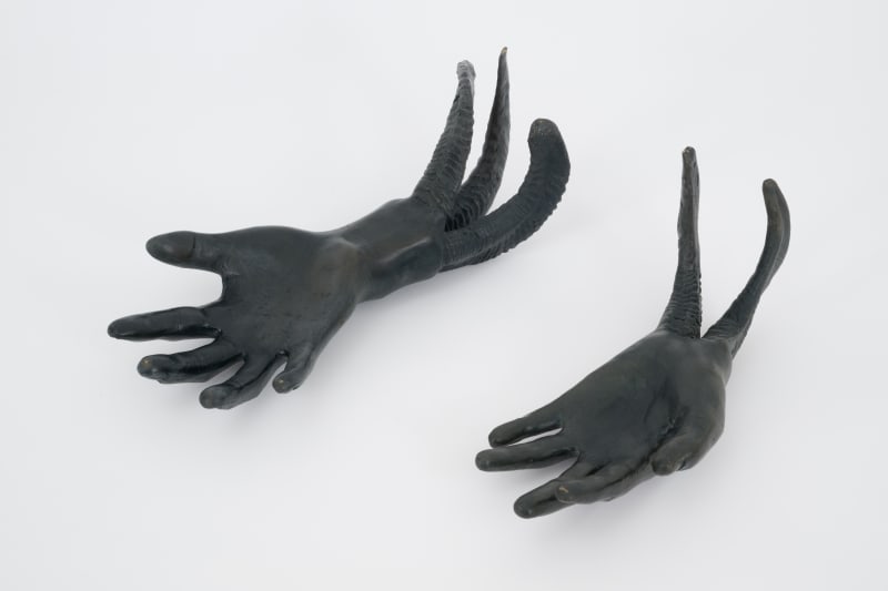Jantsankhorol Erdenebayar Reinvigoration i & ii , 2024