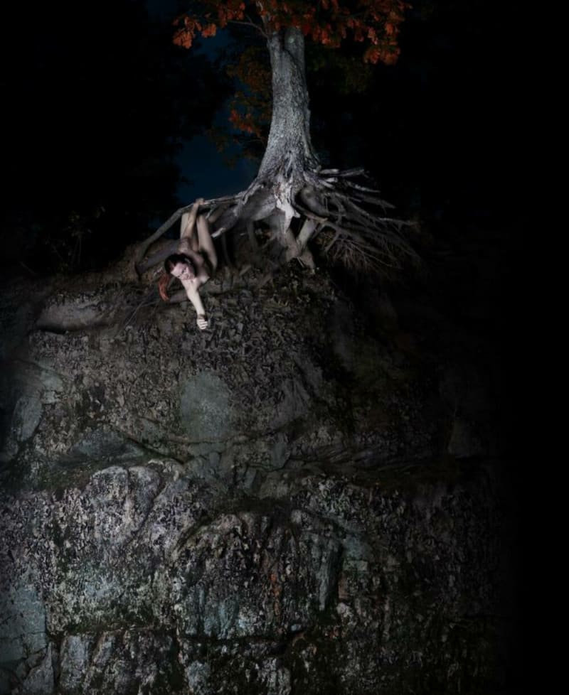 Bear Kirkpatrick The Captain Would Find Himself At Last Alone, 2010