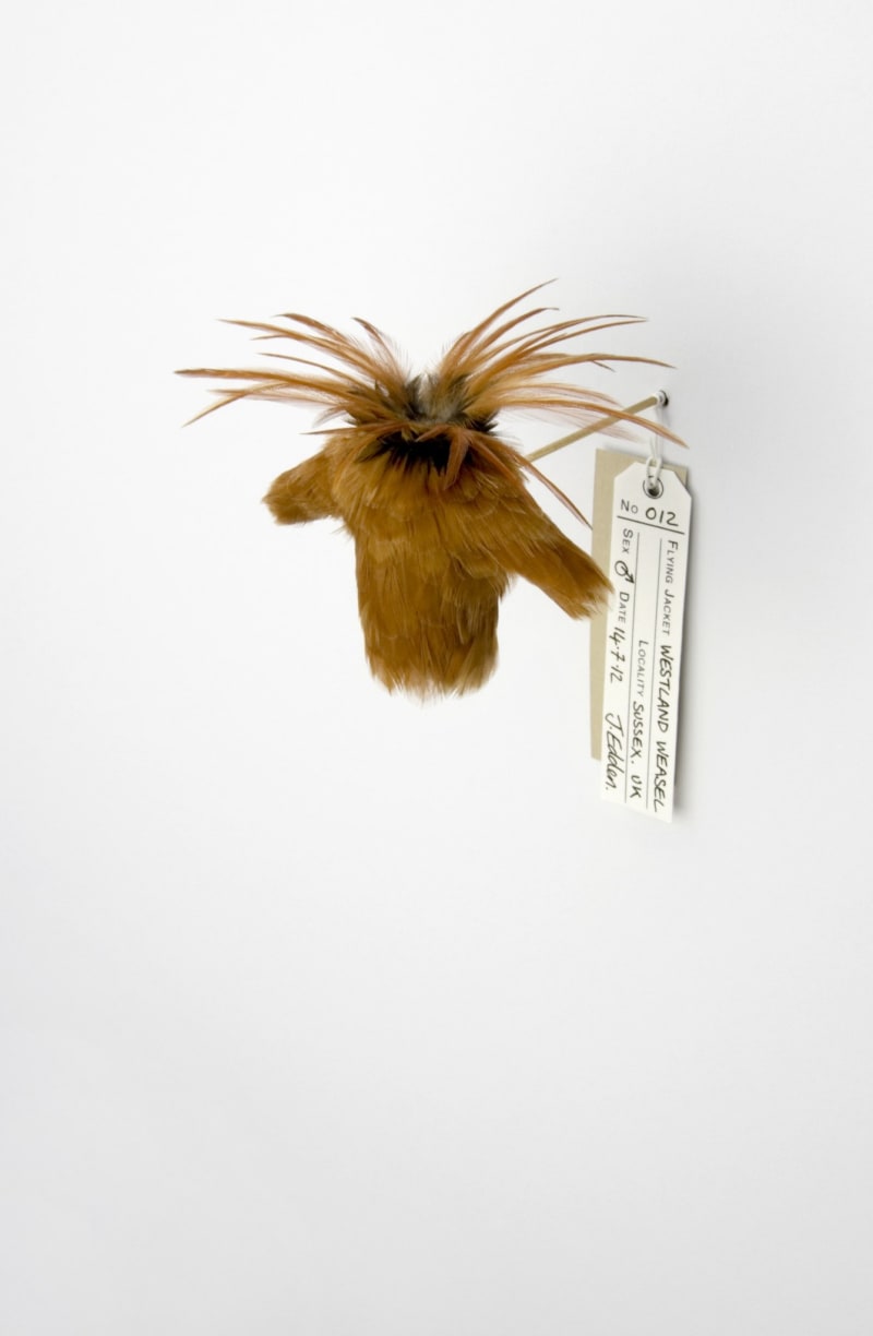 Jane Edden 12 Westland Weasel, 2012