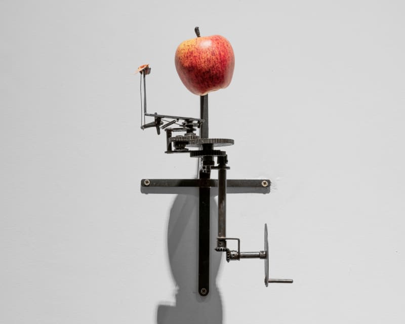 Tim Lewis Moth, 2023