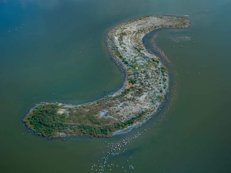 Edward Burtynsky Flamingos #2, Kampers Dam, 2018