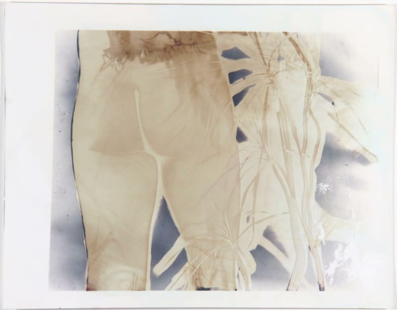 Mariah Robertson 250, 2009