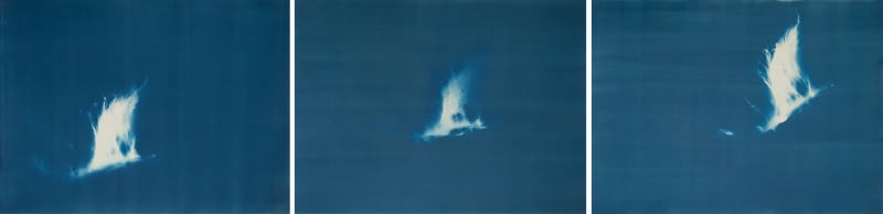 Janelle Lynch Ascend, 2022