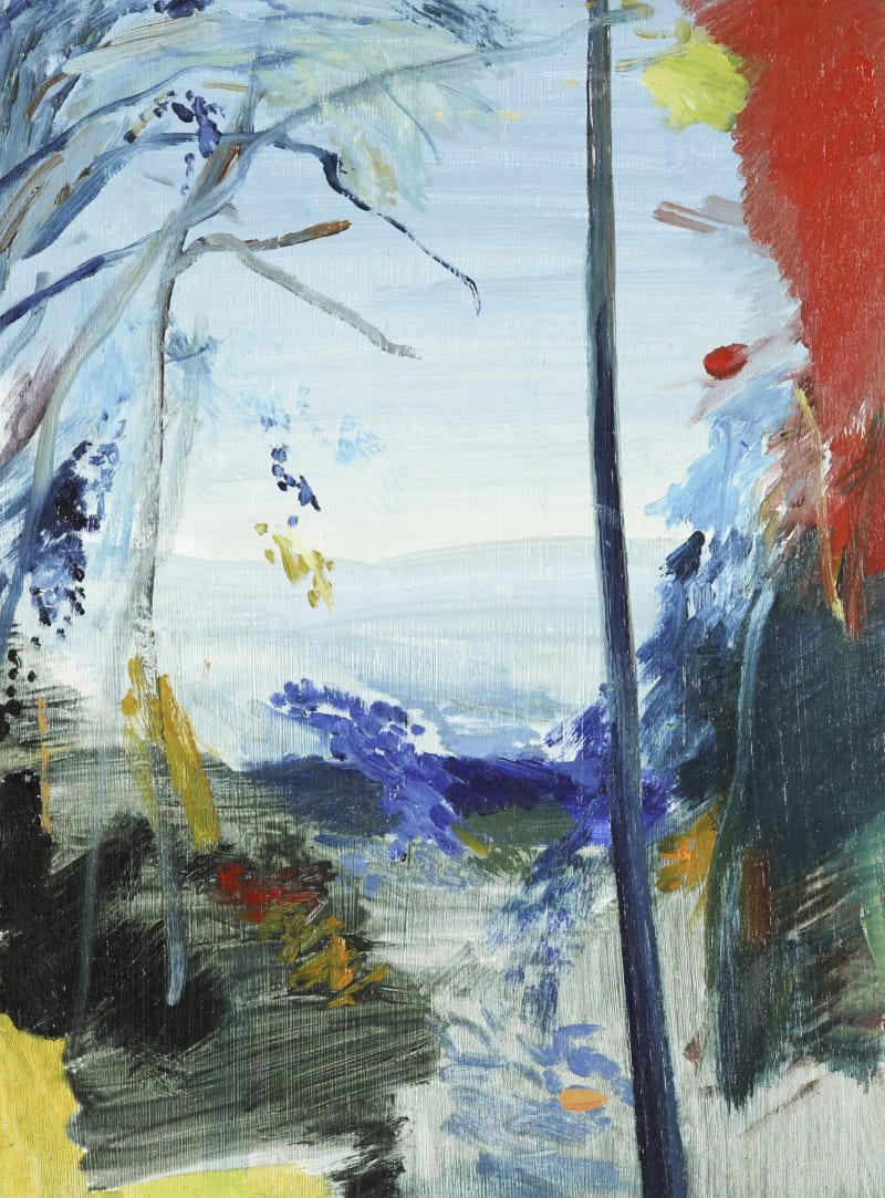 Calum McClure Hangers Colours, 2018