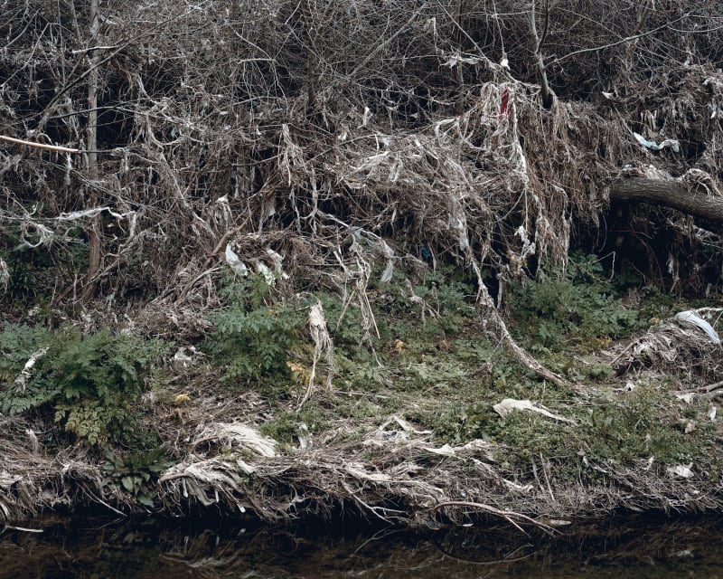 Janelle Lynch Walls 8 (Barcelona), 2011