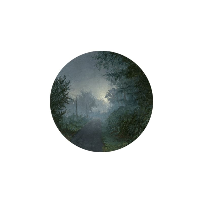 Dina Brodsky Cycling Guide to Lilliput #21, 2015