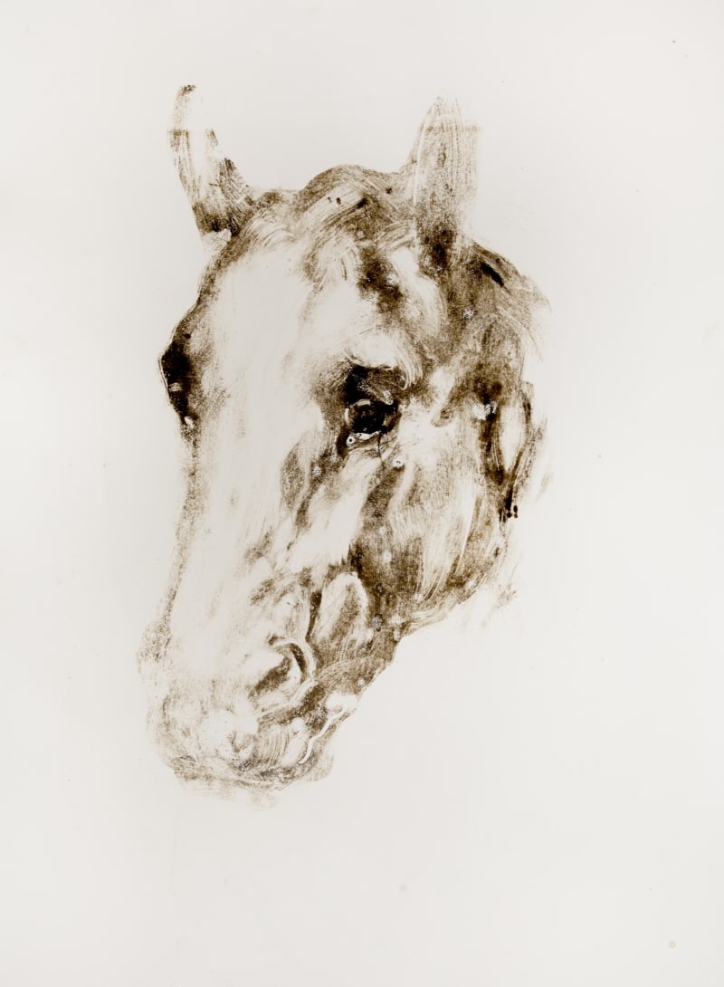 Nicola Hicks Horse, 2014