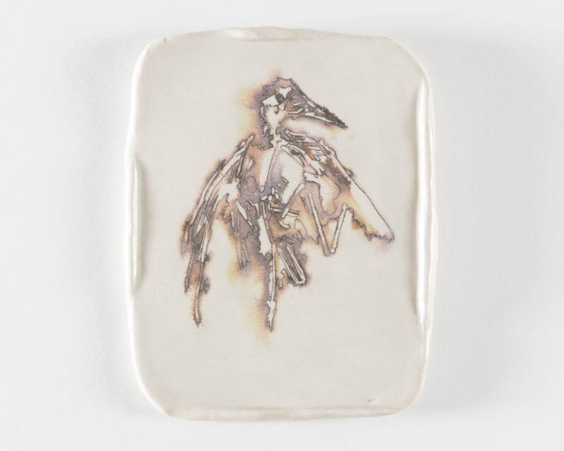Glenys Barton Bird #16, 2012