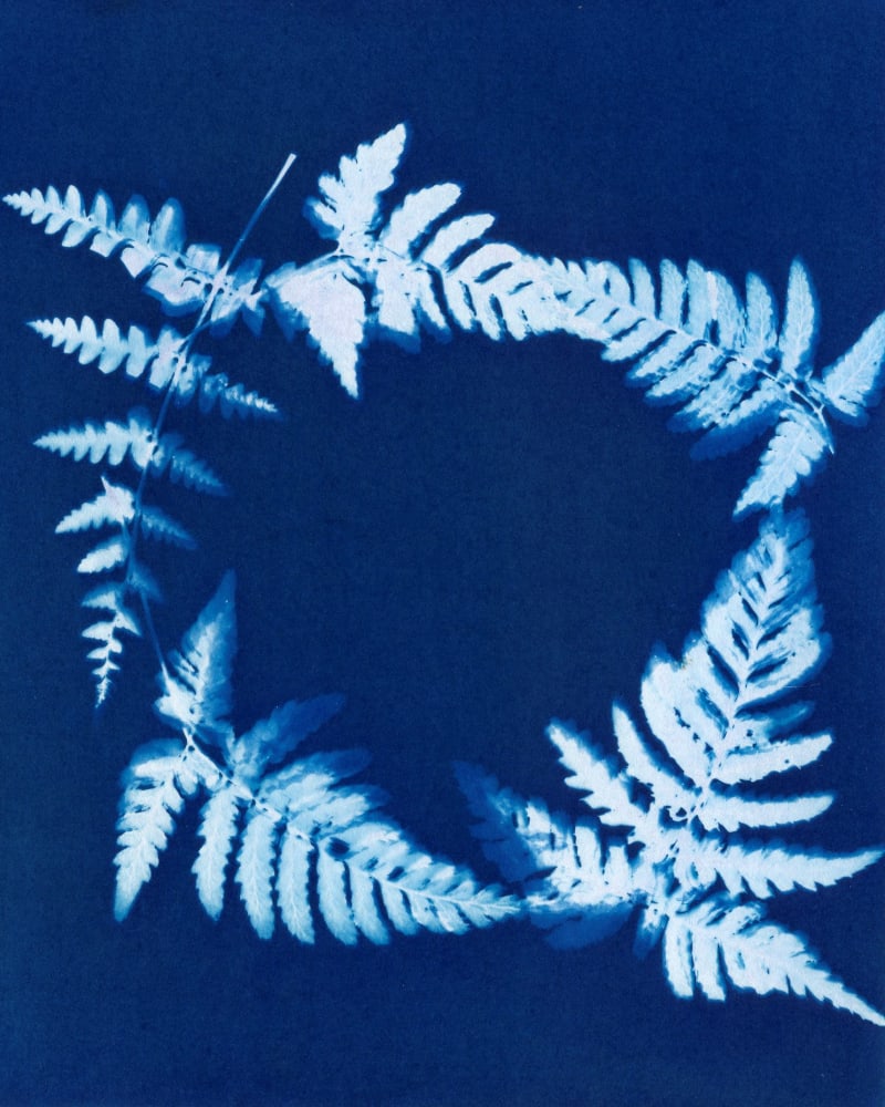 Janelle Lynch Fern Wreath, 2021