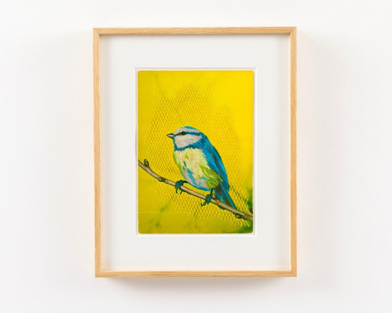 Julie Cockburn Pimpelmees, 2024