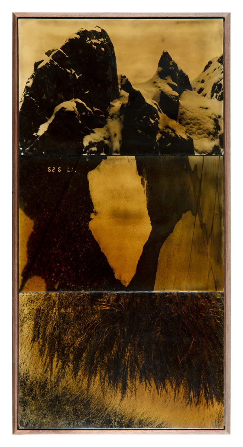 Birdhead Bigger Photo II, 2022