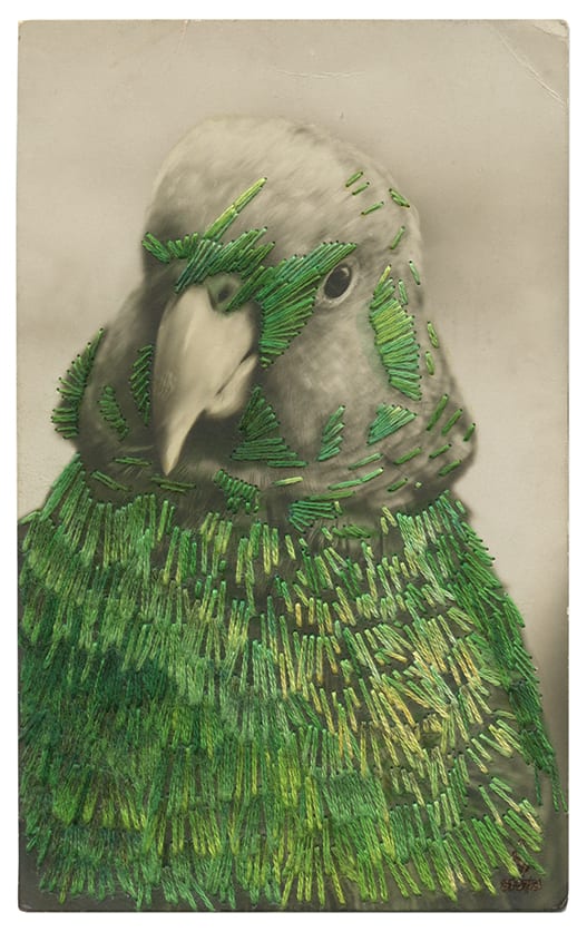 Julie Cockburn Little Birdy, 2021