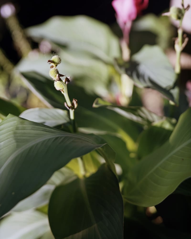 Janelle Lynch Charles Street, 2019