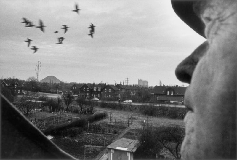 Michael Wolf Bottrop-Ebel x, 1976