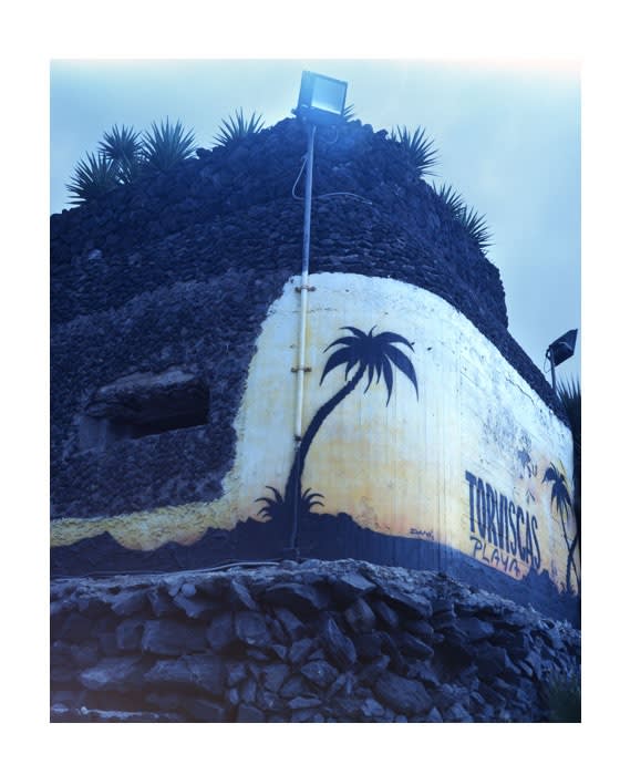 Seba Kurtis Untitled, 2012