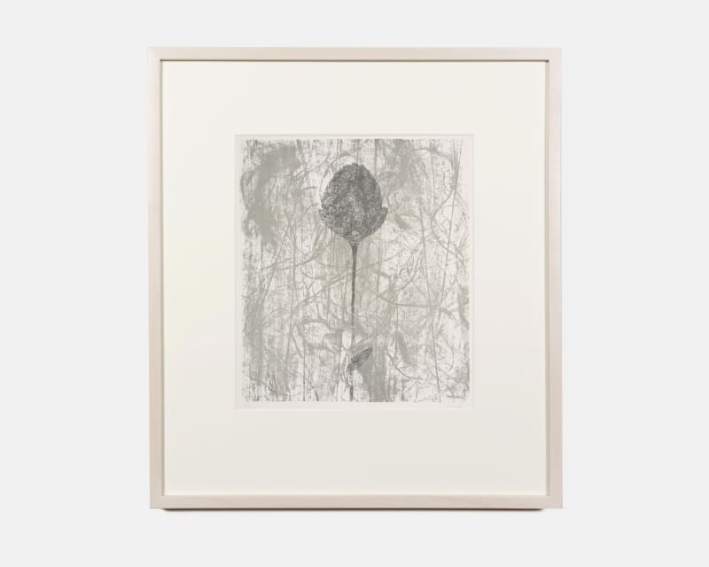 PRUNELLA CLOUGH Black Peony (Paper Flower), 1984 Lithograph 66 x 54 cm | 26 x 21 1/4 in Edition of...